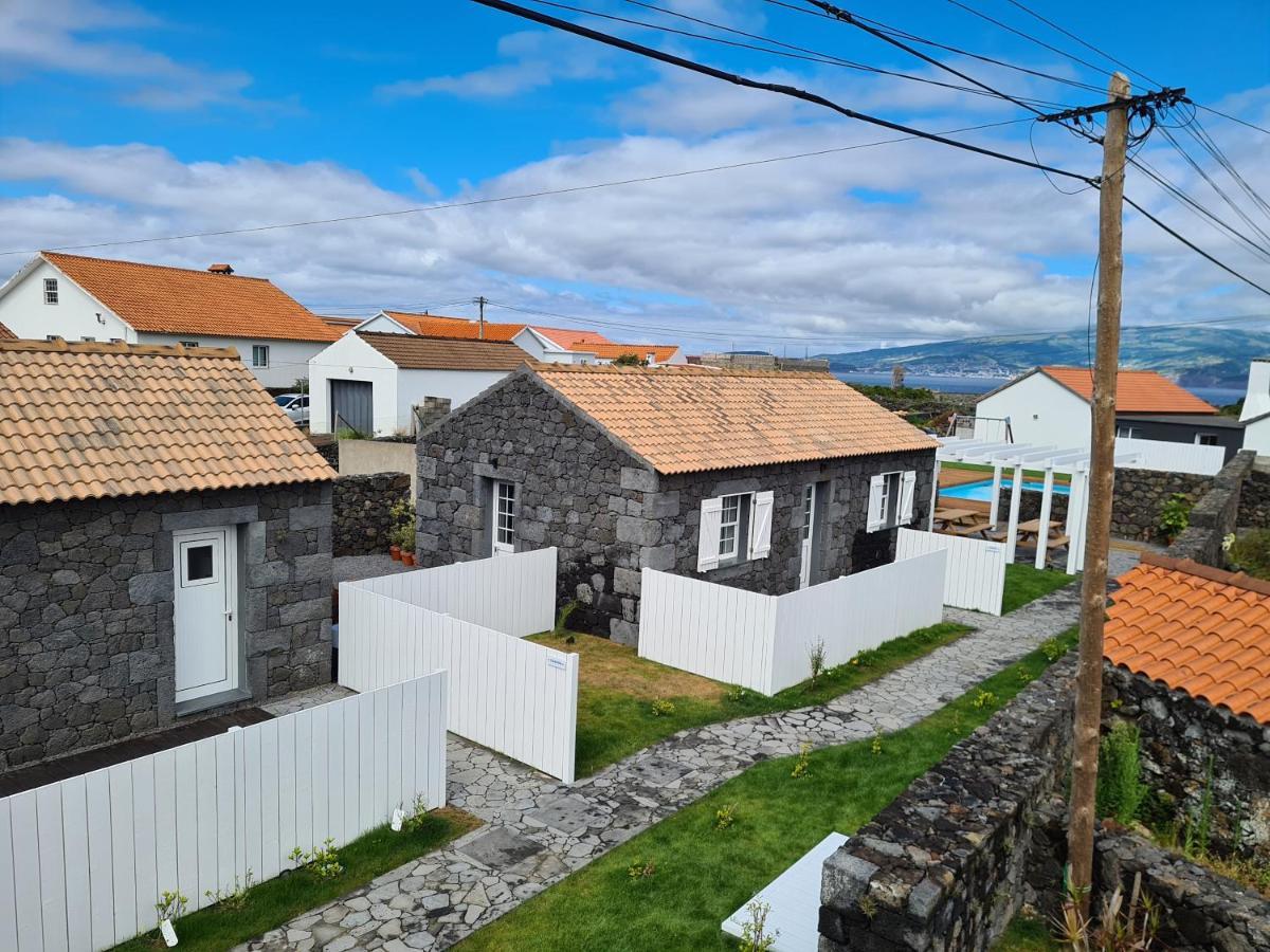 Villa As Casas Da Vinha Criacao Velha Exterior foto
