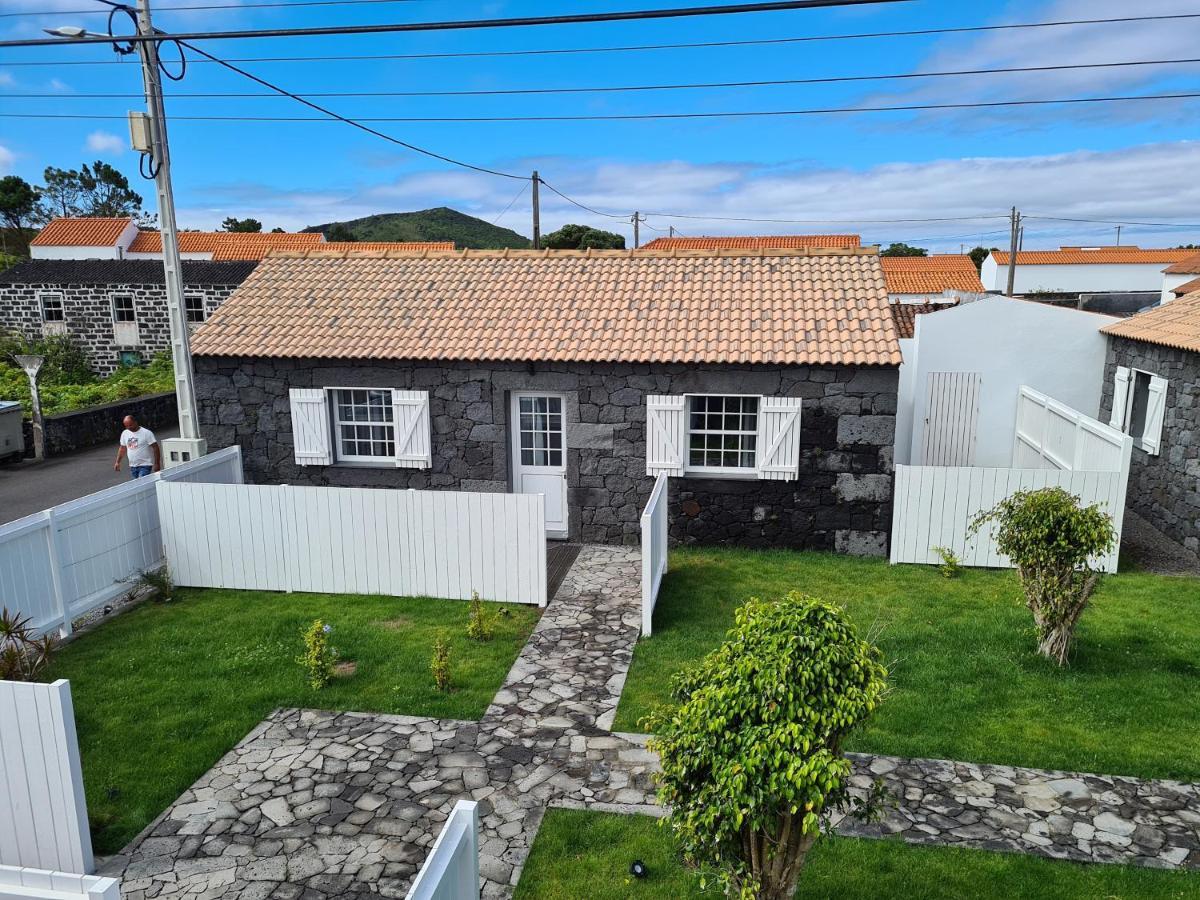 Villa As Casas Da Vinha Criacao Velha Exterior foto